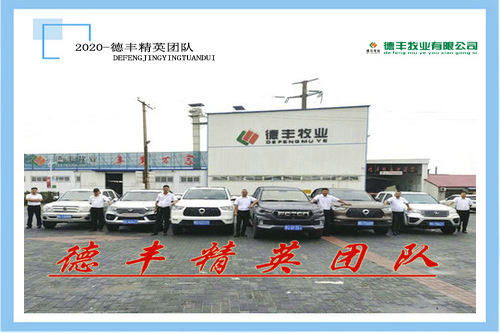 德豐精英團隊