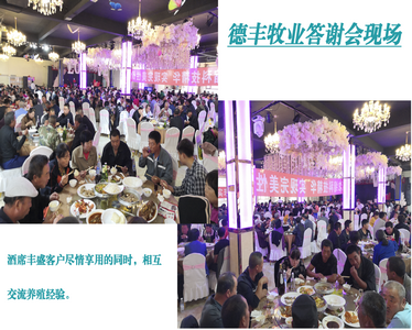 2020/德豐牧業新老客戶答謝會