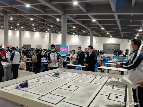 衡實(shí)學(xué)子在全國(guó)中小學(xué)信息技術(shù)創(chuàng)新與實(shí)踐大賽中再續(xù)輝煌